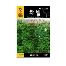 모칸도 (무배) 세계 허브씨앗 챠빌 100립