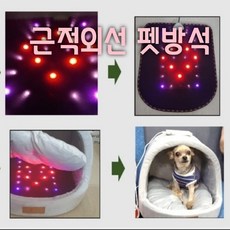 led근적외선탈모