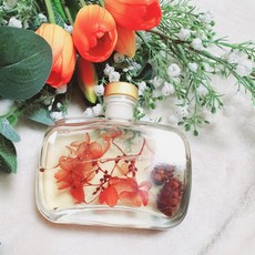 실내방향제100ml TOP01