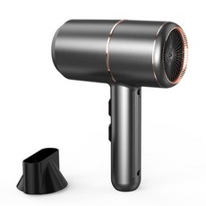Lfcare 헤어 드라이어 항온 가정 기숙사 따뜻한 것과 차가운 공기 음이온 헤어 드라이어, 회색, 국경 간 110v