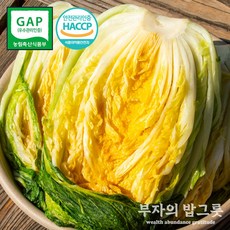 해남 절임배추 20kg 김장 절인배추 11월7일부터 출고 김장철 도착(수령희망일을 필수추가정보에 입력필수) 1개, 1박스