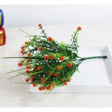 babybreath