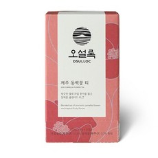 오설록동백꽃티