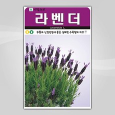 c7e02d03ad28570d3ae98387d6ead5b64a4ce23a98e46a9057ee905433b6.jpg