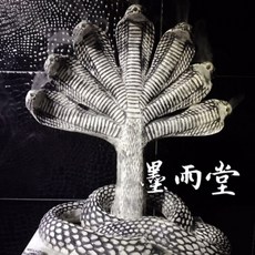1a15ec7cf0f74c28fb6bc4de8476be4eb897afa3741c159b9820dbe67260.jpg