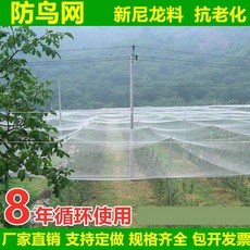 양식 과실 앵두 건딸기 과수원 못 포도농 논밭 방조망 가정용 열매트리 그물, 선택 폭 필요 얼마 be long i