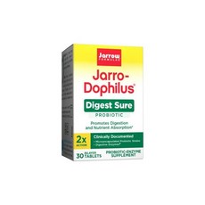 뿌리는질유산균