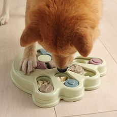 강아지음식만들기책