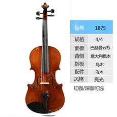 홍성우바이올린