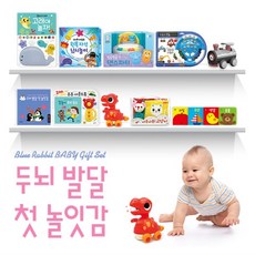 블루래빗첫놀이감