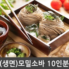 //상품명