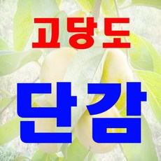 0907a85205a47da57c566d99a70754e5b7b370b9c000f88182cff4328d26.jpg
