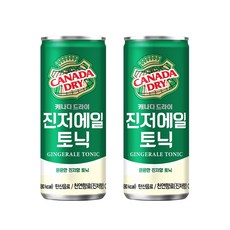 캐나다드라이 진저에일 250ml, 10개