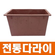 라마물안경