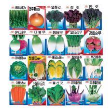 청방배추
