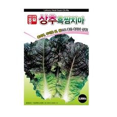 요양원게이트볼
