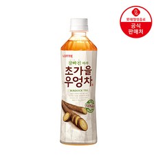 [본사직영] 롯데 잘빠진하루 초가을우엉차 500ml x 24펫