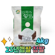 고인돌 강화섬쌀 강화쌀 햅쌀 국산찹쌀 찹쌀 4kg, 1개