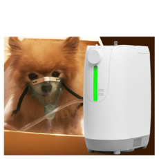 강아지산소방만들기