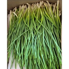 (국내산) 깐쪽파 1KG 싱싱하고 부드러운 손질 쪽파 제철 손질 쪽파, 1개