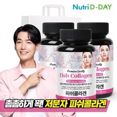 뉴트리디데이 프리미엄 저분자 피쉬콜라겐 타블렛 3병+쇼핑백증정, 기타, 3개