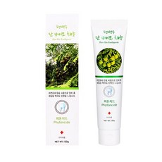 단바이오 천연치약130g, 1개, 130g
