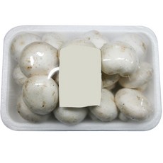 양송이버섯 200g내외 20개