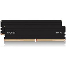 [마이크론] 마이크론 Crucial DDR5 PC5-44800 CL46 PRO 대원씨티에스 [96GB (48GB*2)] (5600), 2개