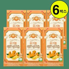 홀베리 그대로 짜낸 유기농 레몬 생강즙 14p
