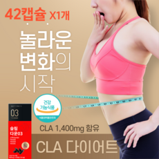 CLA 공액리놀레산 다이어트 팻 씨엘에이 체지방감소 비타민 씨엘에이 칼로리 지방 탄수화물 버닝 DOWN 에너데이, 42정, 4개