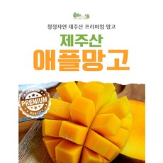 [제주프리미엄] 선물용 가정용, 1개, 제주애플망고 2kg (5~6과)