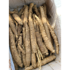 국산 강원도 횡성 흙더덕 생더덕 산지직송 더덕무침 더덕쥬스, 1박스, 500g(중 15-20입)