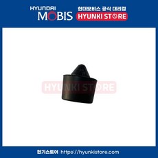 범퍼도어 오버슬램 (821914H000)