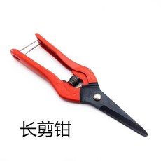 8da952aa994ba20bdef636ea16033e6da0782d450e7e64a7da9ab6c6d5bb.jpg