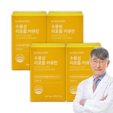 닥터루템 수용성 커큐민 강황 영양제 흡수율 높인 리포좀 커큐민, 4개, 30정