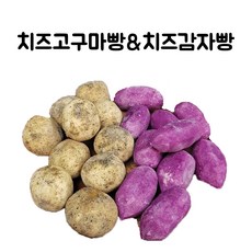 진짜녀석들리얼오픽