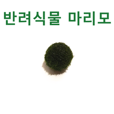 98998a89f6f76a0847a5f35998d09de15863fe391406dc7746ad0d6ba535.png