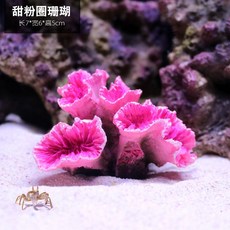 산호키우기