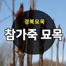 2ca9bef2d2368f6cd448cf15db7cca095a7cd14a58e547915541eacec8f7.jpg
