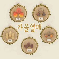 가을열매 관찰 어린이집 유치원 환경구성