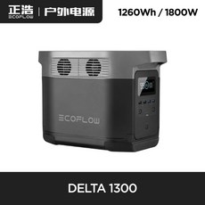 에코플로우델타맥스2000