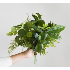 쟈뎅드에덴