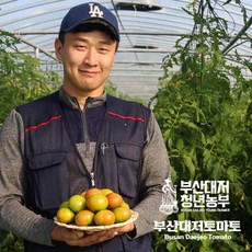 추천2 부산대저토마토