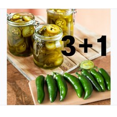 [품절임박] 4+1 부잣집 나쵸 슬라이스 할라피뇨 페퍼스, 5개, 3kg