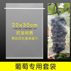 재배봉지 샤인머스켓 포도 사과 망고 복숭아 딸기 보호 방풍 20매 50애 100매, 1개