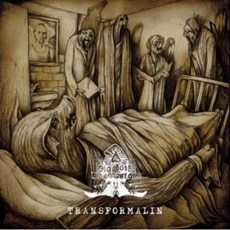 [해외LP신품] DIAGNOSE: LEBENSGEFAHR-Transformalin + TRANSFORMALIN II (SPLIT COLOR)(Colored Vinyl L, One Color_One Size, One Color_One Size, 상세 설명 참조0
