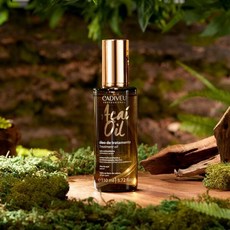 카디뷰아사이오일