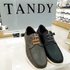 탠디보트