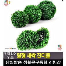 싱그러움 화단꾸미기 단독주택마당 연출 데코 리빙용품 가든 옥상인테리어, 소