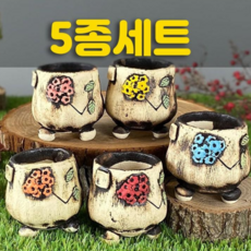 도향수제화분
 다육맘 수제화분 다육화분 도향#262 5종세트